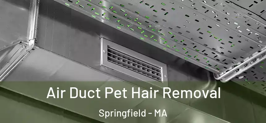 Air Duct Pet Hair Removal Springfield - MA