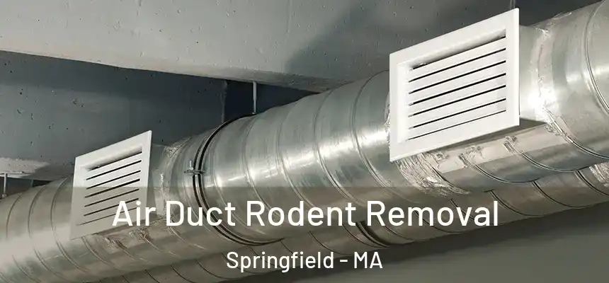 Air Duct Rodent Removal Springfield - MA