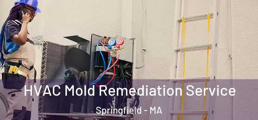 HVAC Mold Remediation Service Springfield - MA