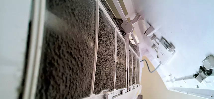 Preventive Air Duct Bacteria Removal in Springfield