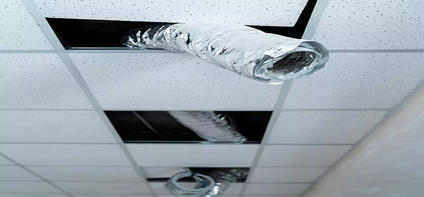 Our Air Duct Pet Hair Removal Services in Springfield, MA