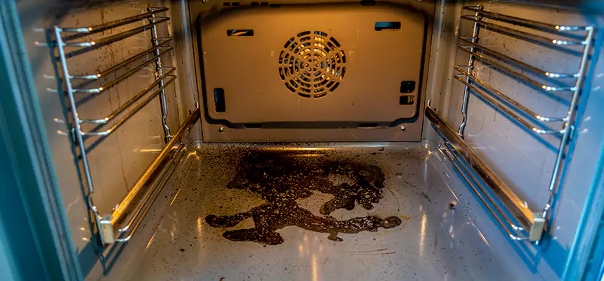 Our Dryer Vent Mold Cleaning Services in Springfield, MA