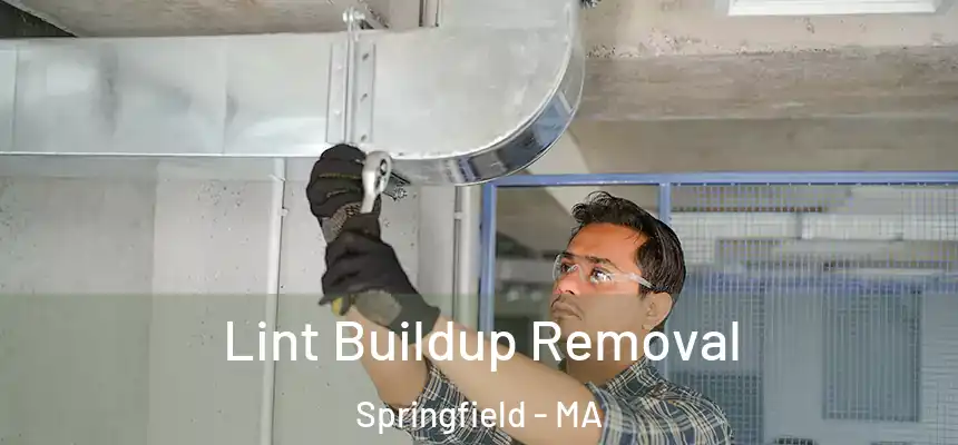  Lint Buildup Removal Springfield - MA