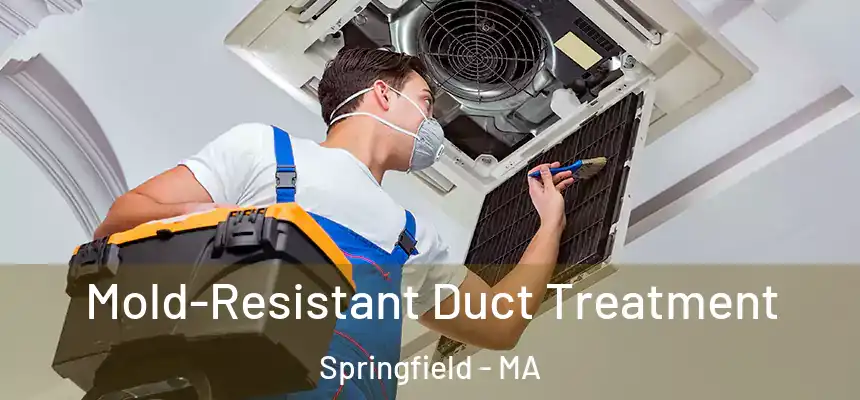 Mold-Resistant Duct Treatment Springfield - MA