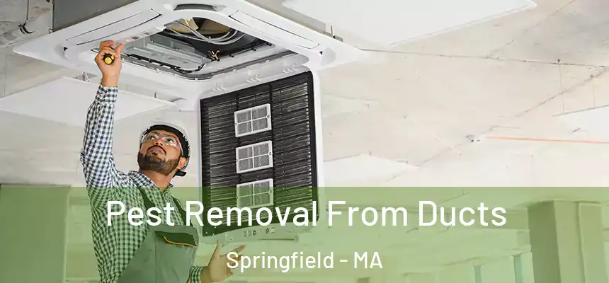 Pest Removal From Ducts Springfield - MA