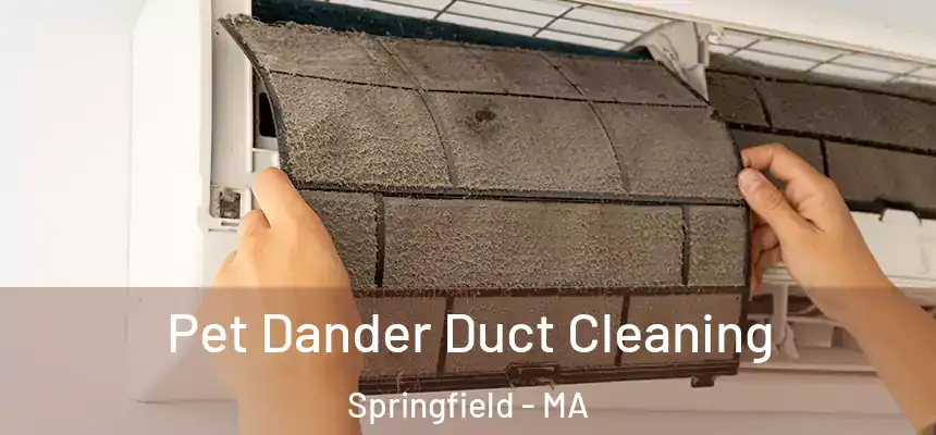  Pet Dander Duct Cleaning Springfield - MA