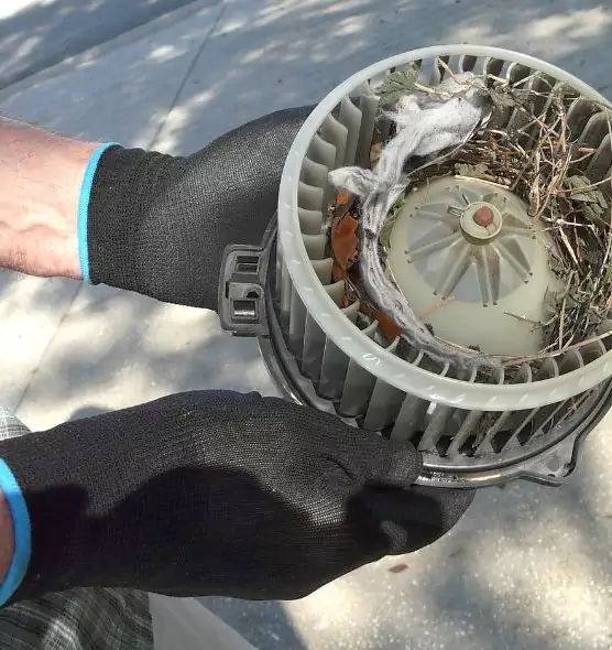 About Air Duct Rat Removal in Springfield, MA