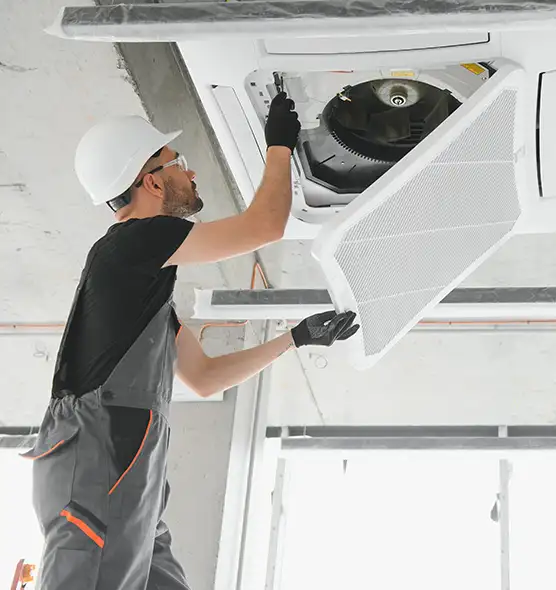 About Air Duct Rodent Removal in Springfield, MA