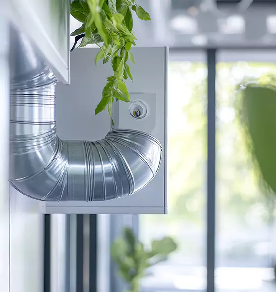 Professional Eco-Safe Dryer Vent Cleaning in Springfield, MA