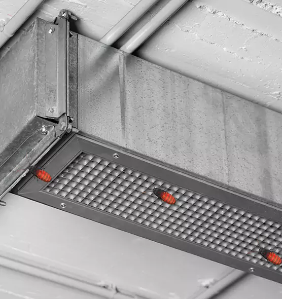 Affordable Insect Removal from Air Ducts in Springfield, MA