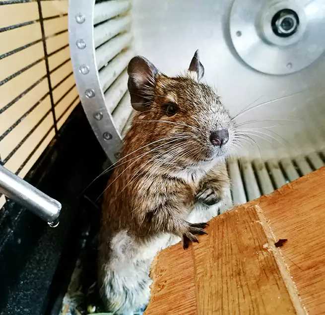 Why Homeowners & Businesses Trust Us Springfield, MA