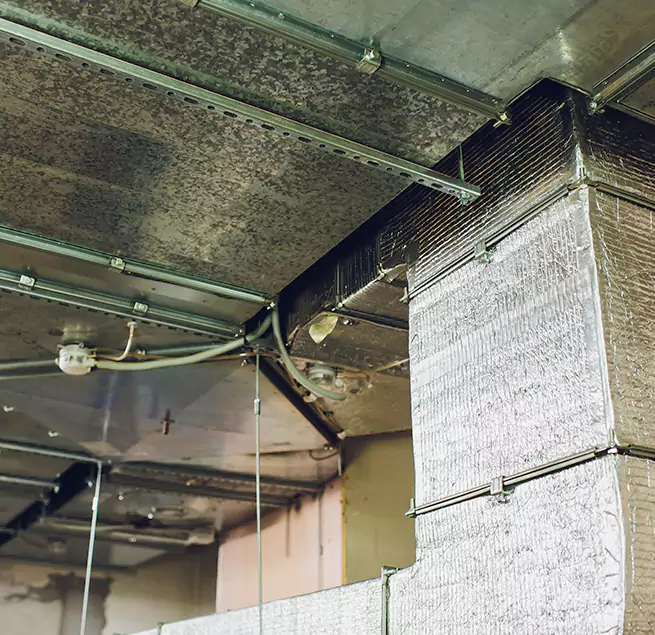 Why Homeowners & Businesses Trust Us in Springfield, MA?